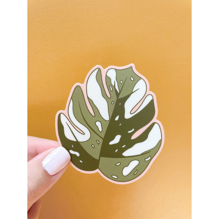 Monstera Thai Con Sticker