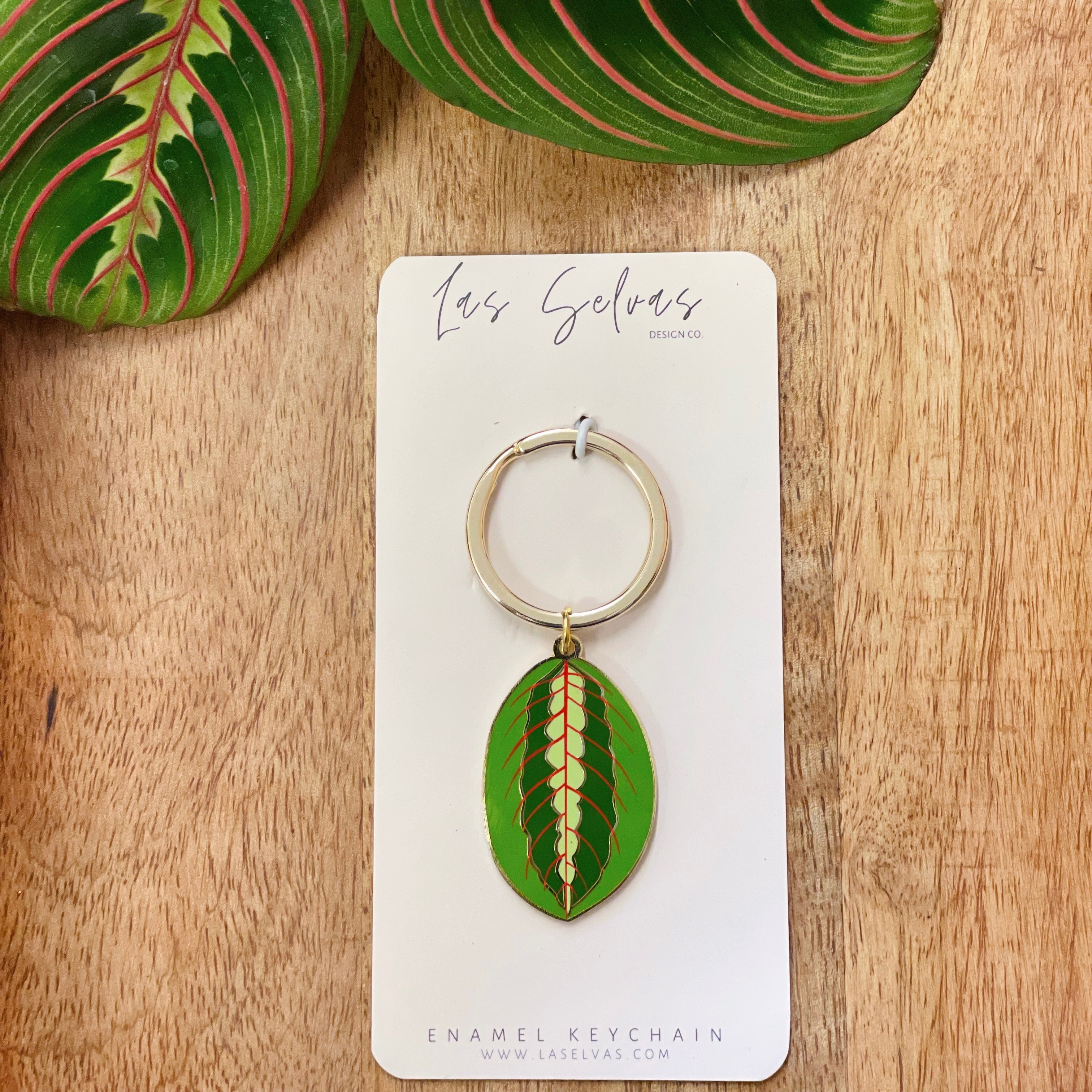 Keychain Maranta Prayer Plant (1.25")