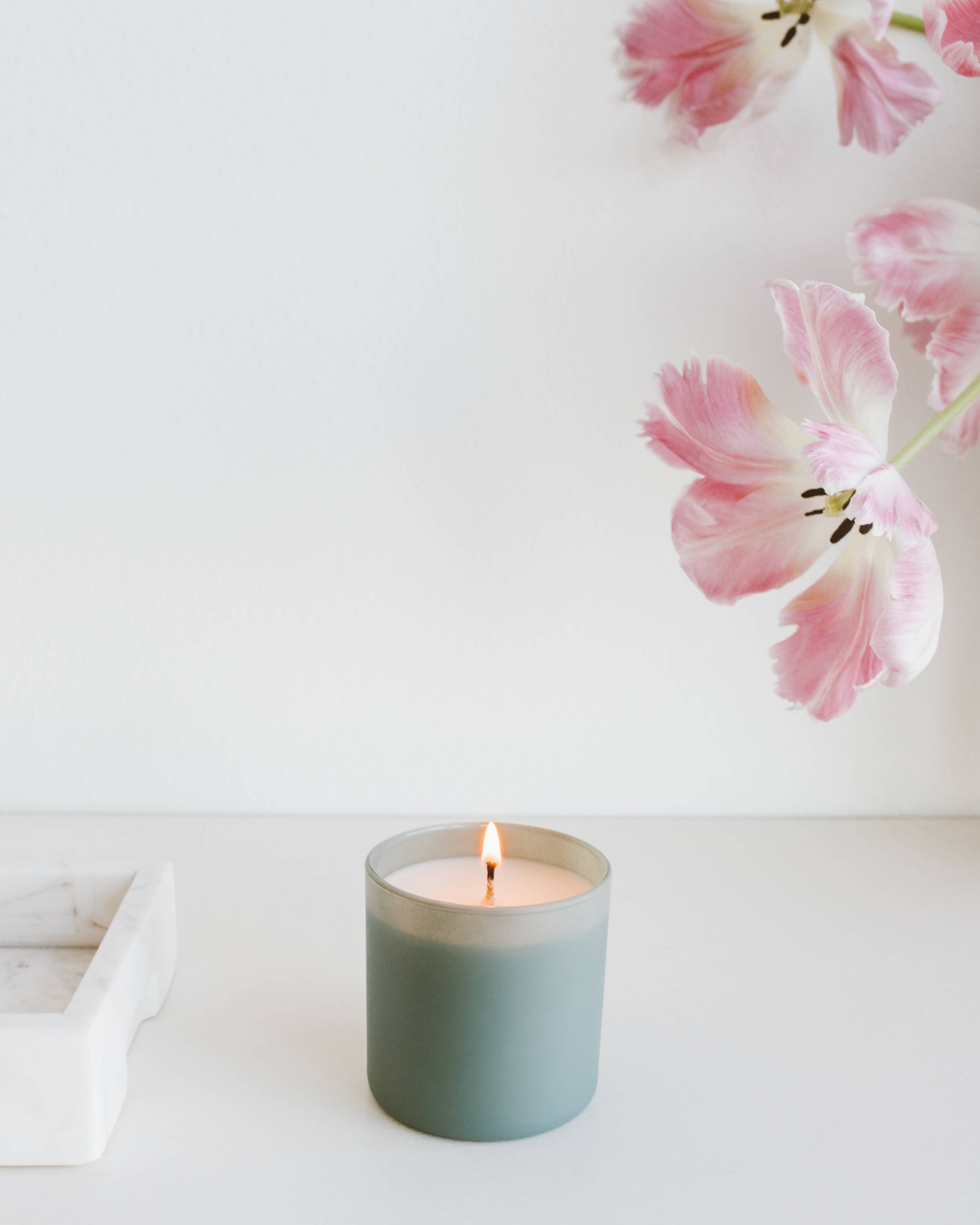 Evergreen + Eucalyptus Dignity Series Soy Candle