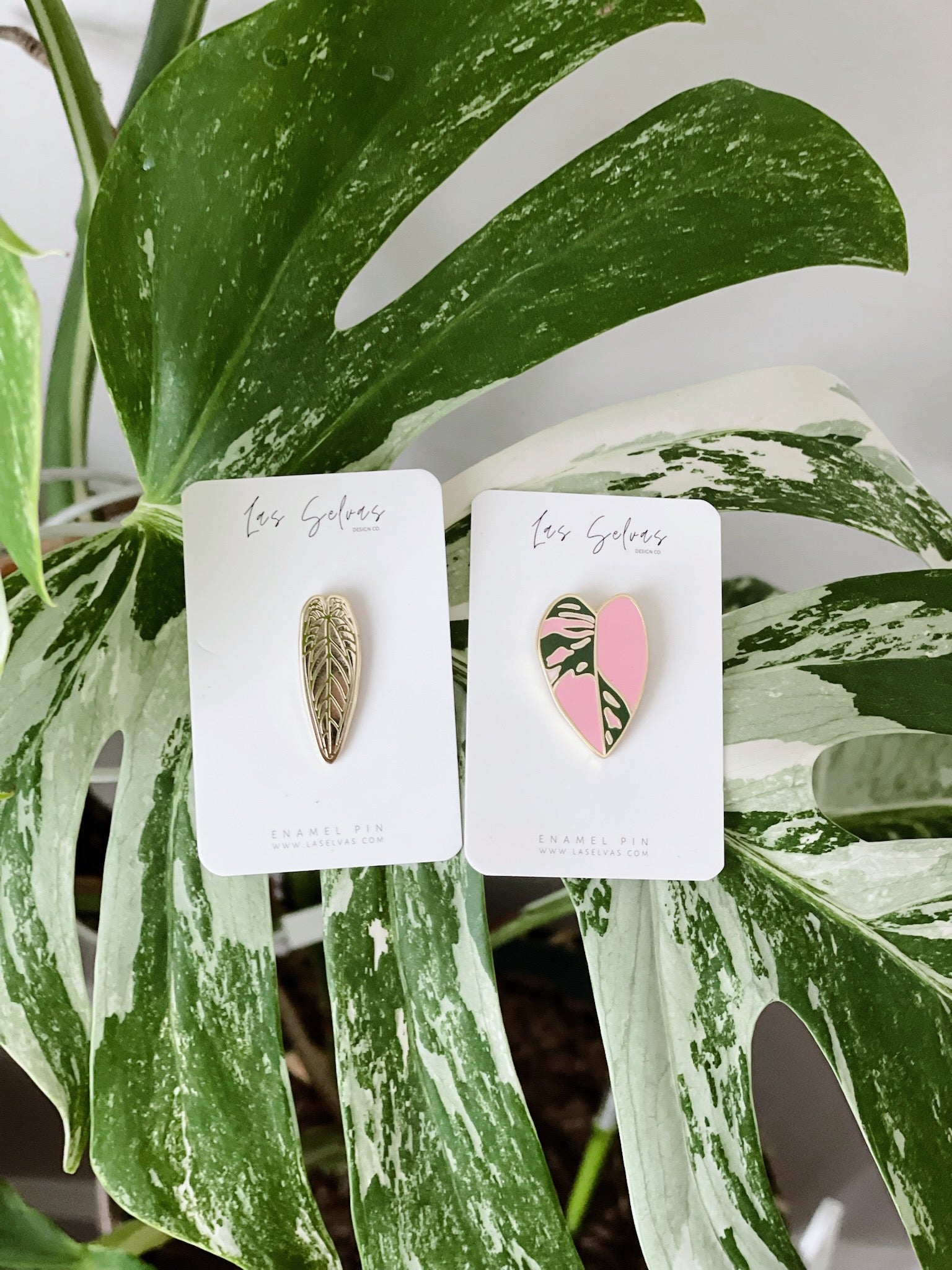 By Accessories