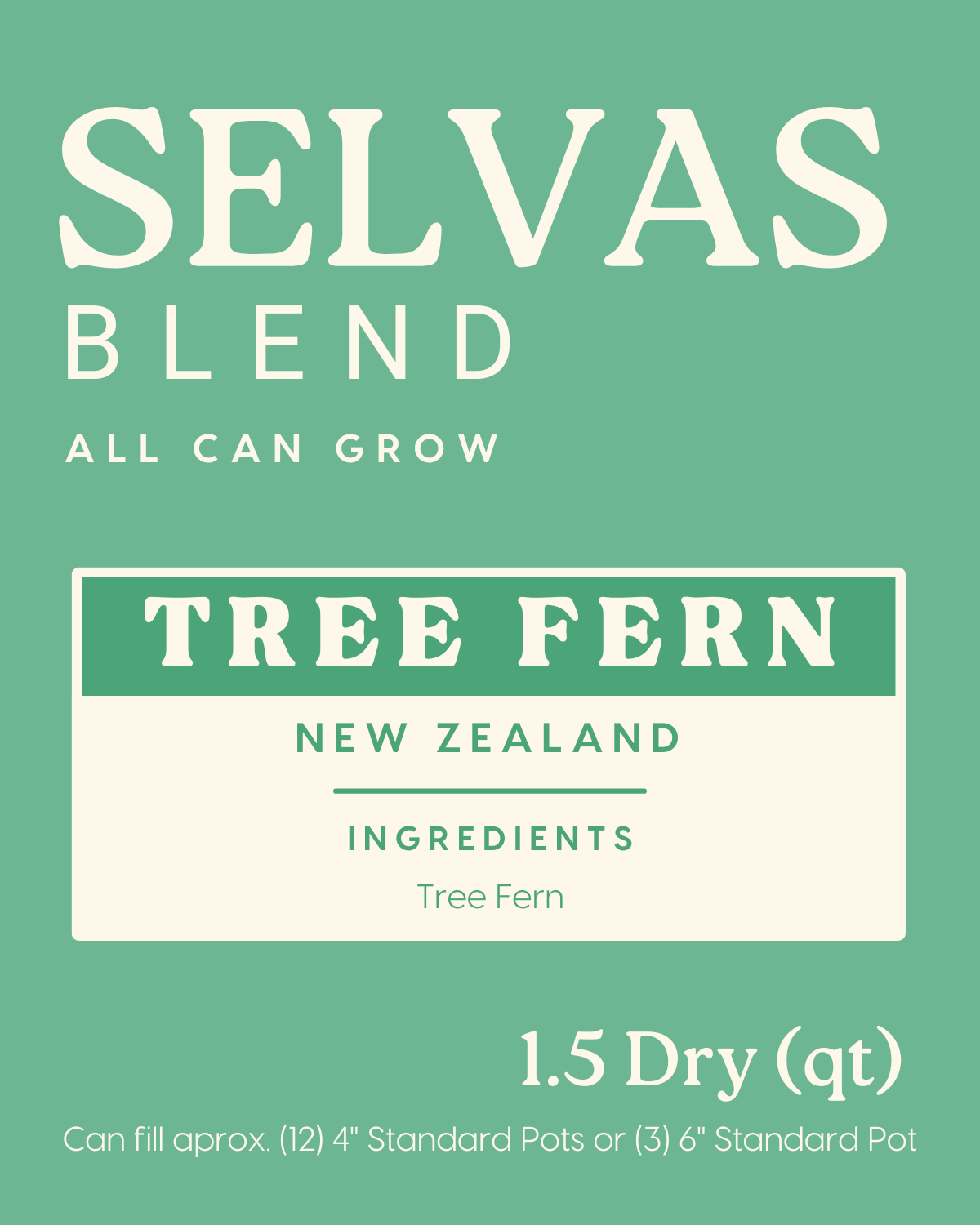TREE FERN