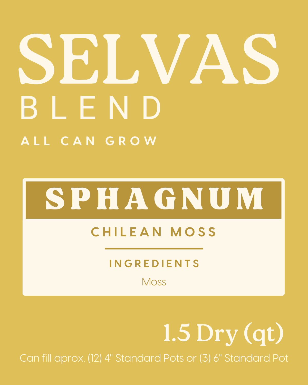 SPHAGNUM MOSS