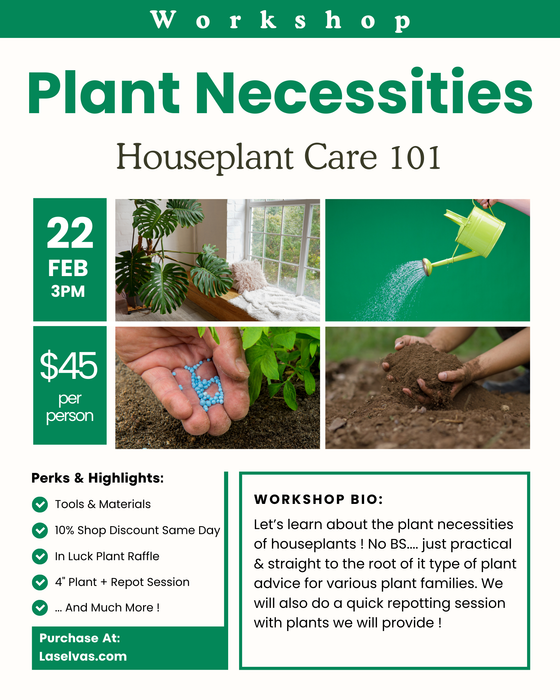 Plant Necessities : February 22nd 3-4PM