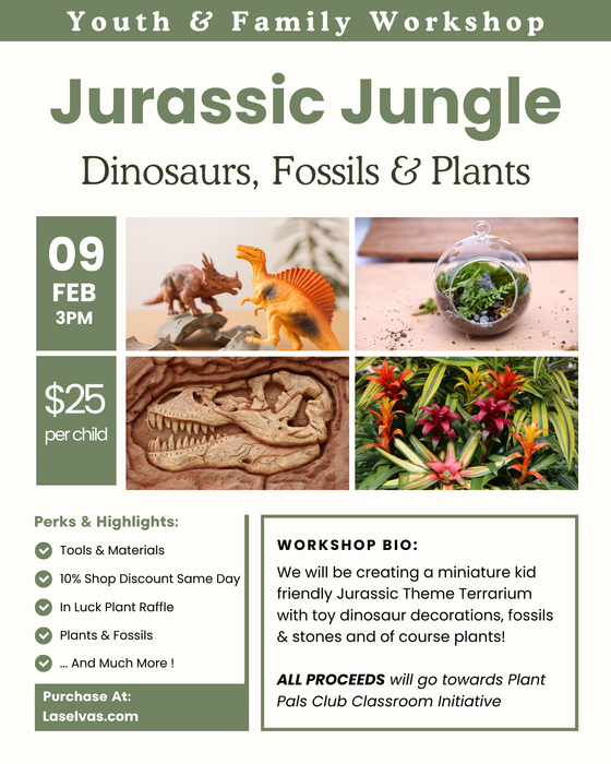 Jurassic Jungle: February 9th 3-4PM