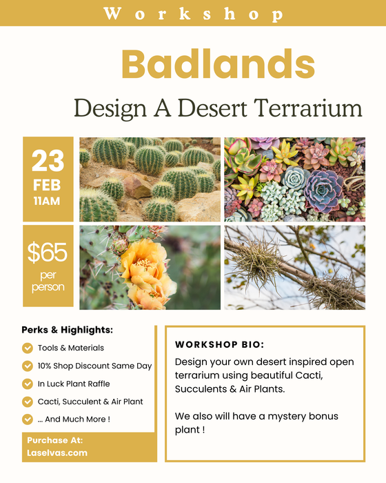 Badlands : February 23rd 3-4PM