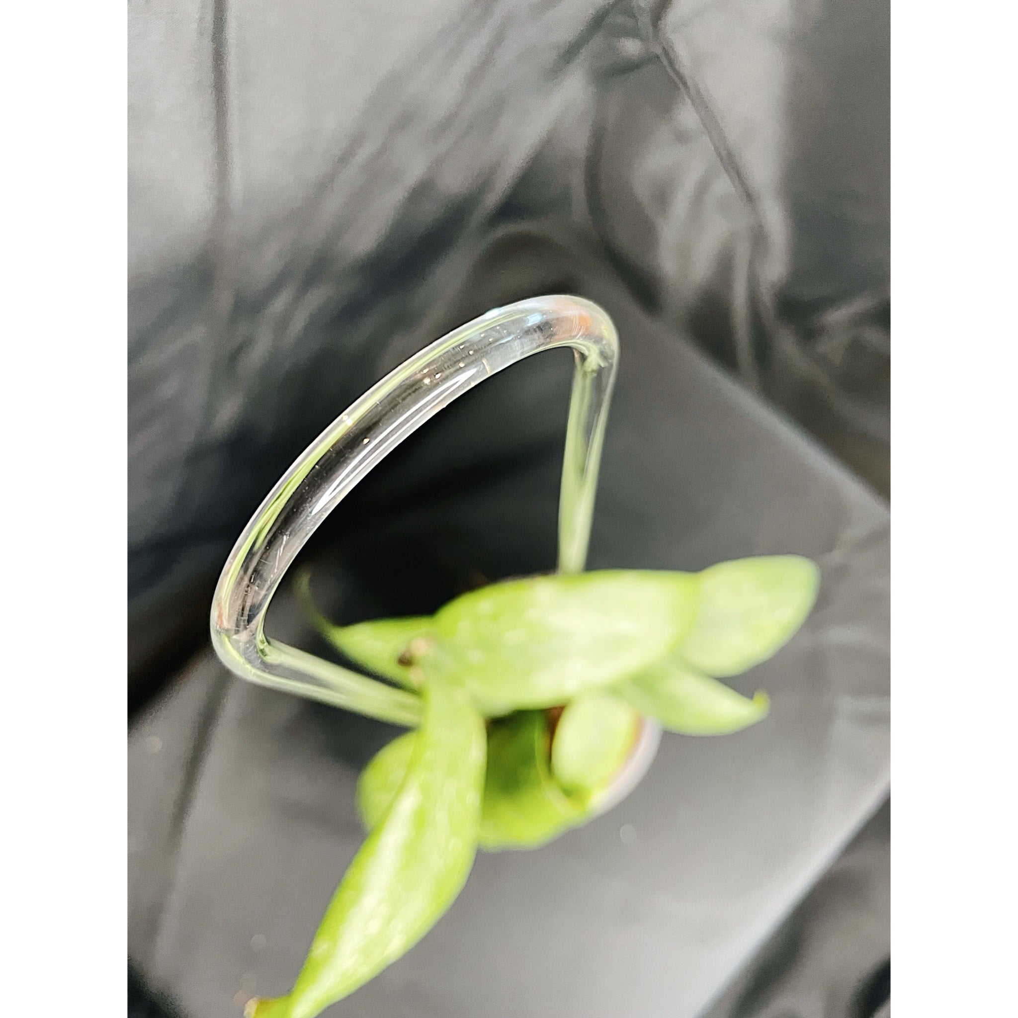 Set of 3 Acrylic Arch Trellises - 14", 16", & 18" Sizes