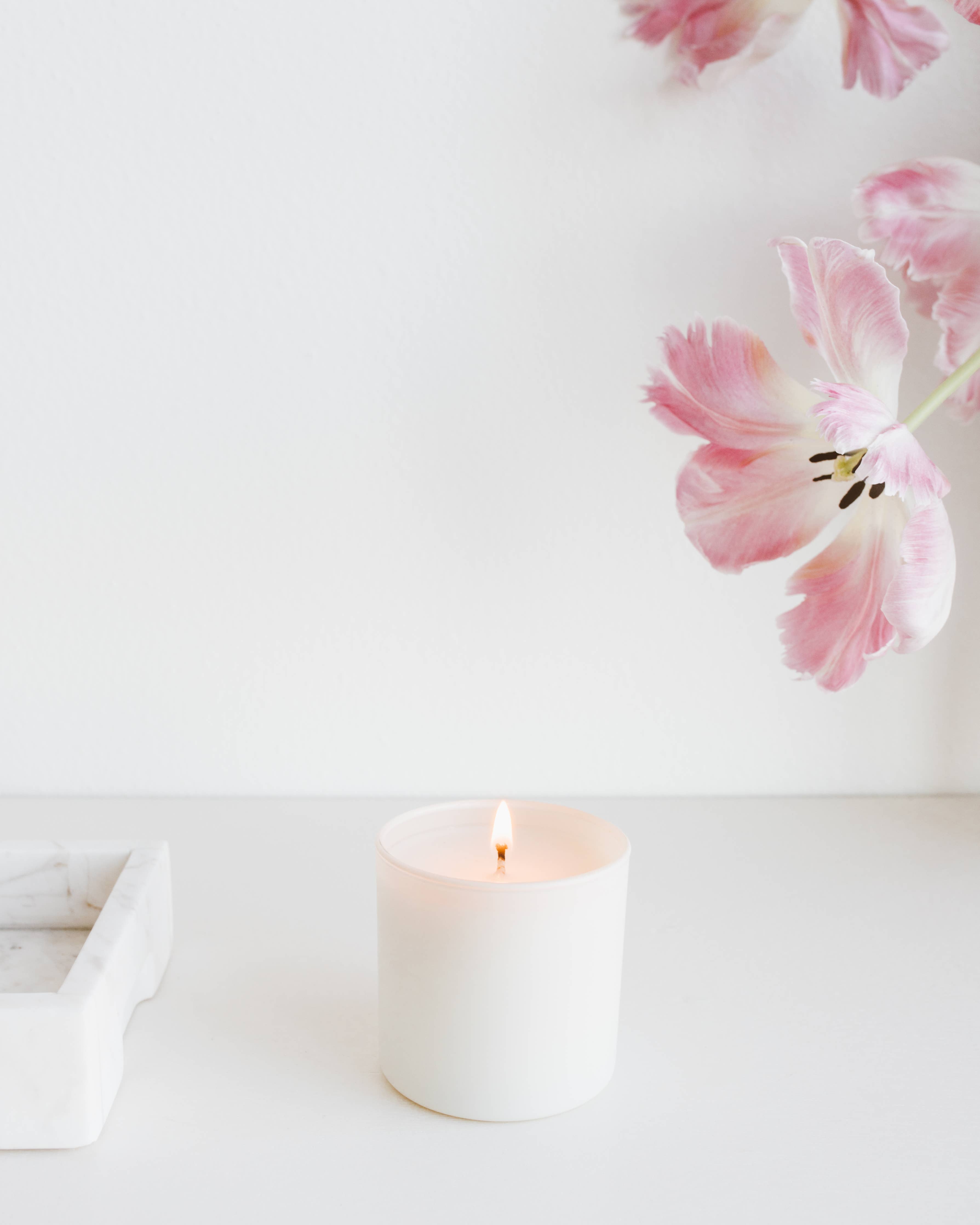 Aspen + Fog Dignity Series Soy Candle