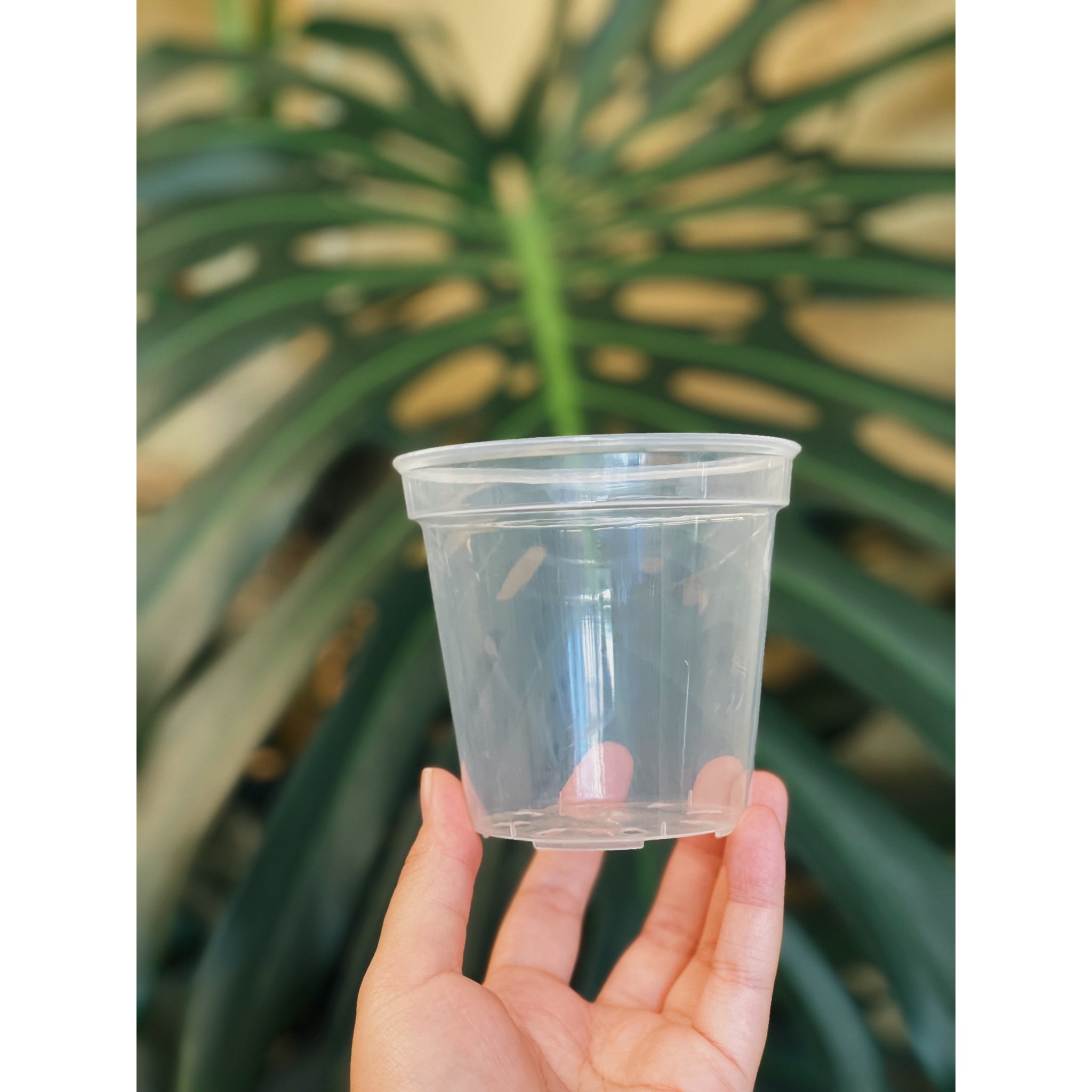 Clear Round Pots