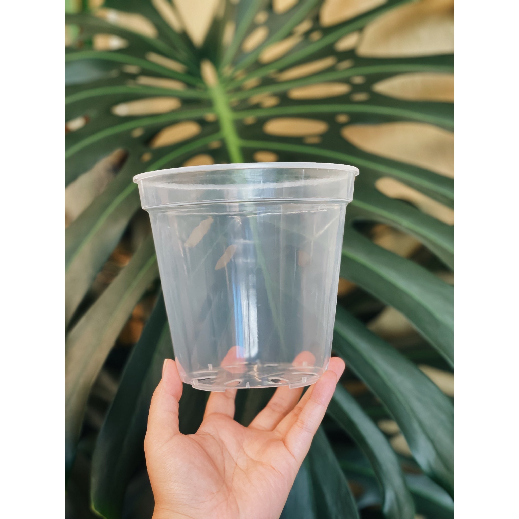 Clear Round Pots