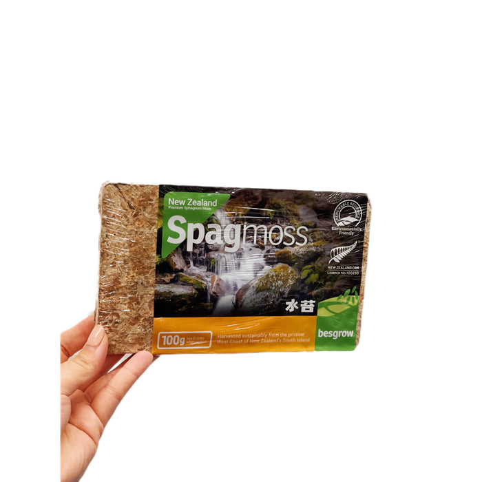 100g New Zealand Sphagnum Moss - Spagmoss