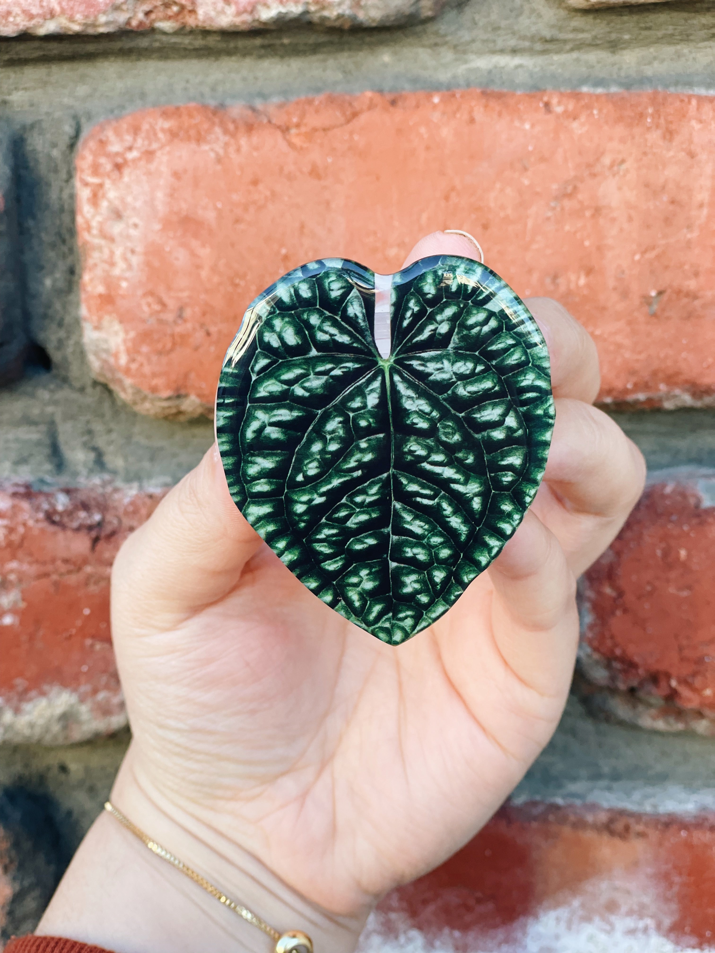 Plant Phone Grip