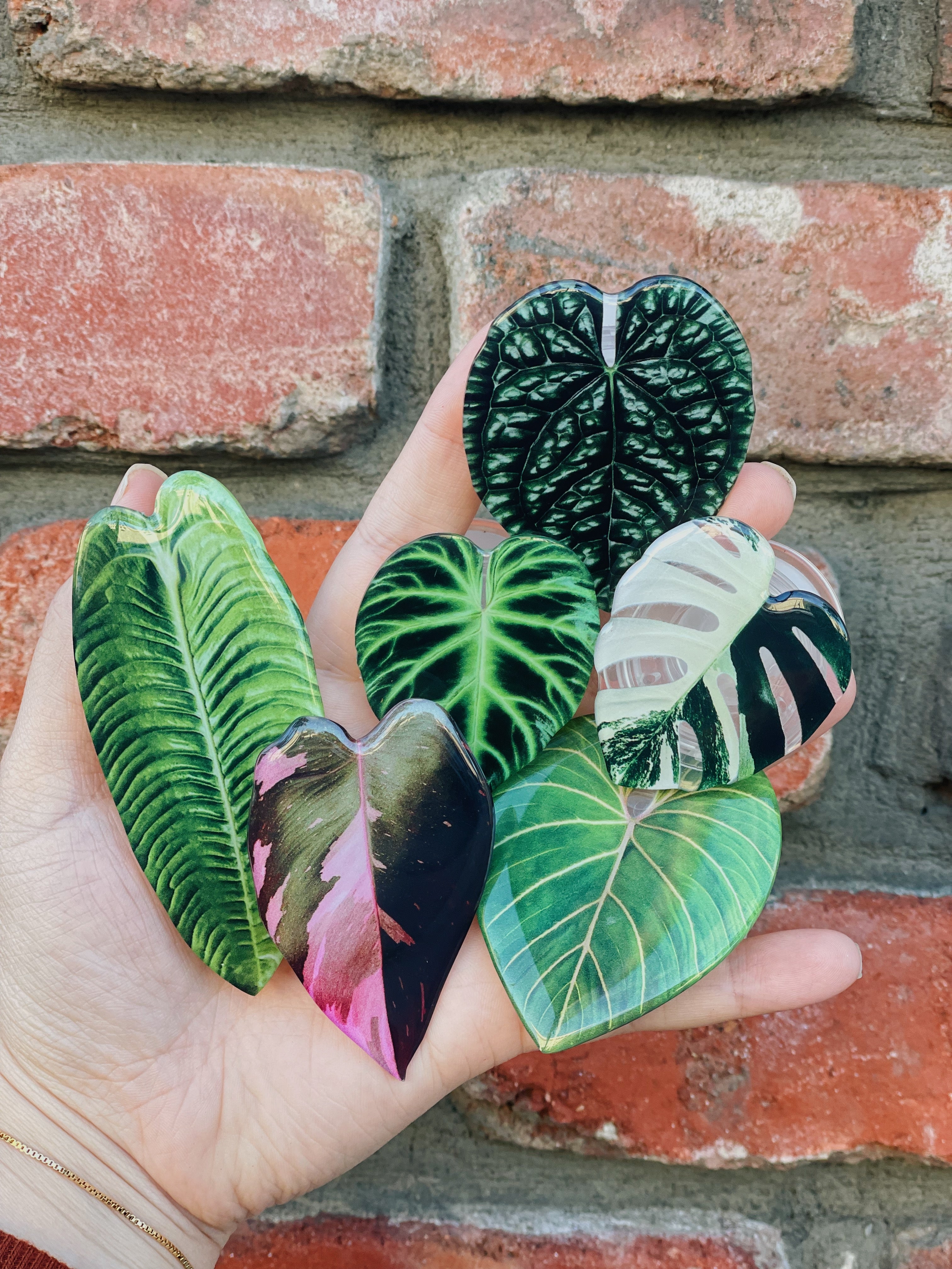 Plant Phone Grip