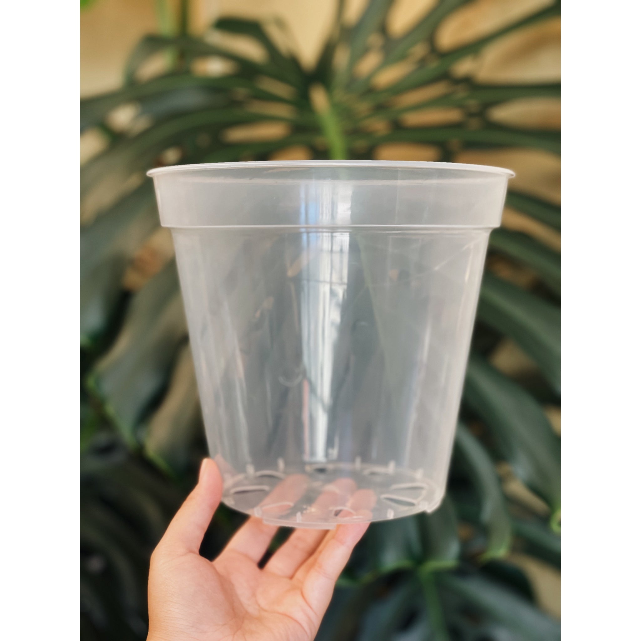 Clear Round Pots